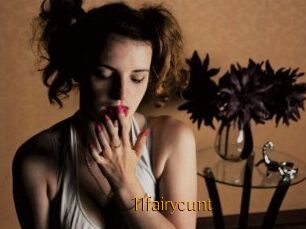 11fairycunt