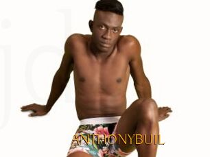 ANTHONYBUIL