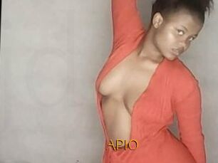 APIO