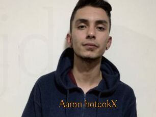 Aaron_hotcokX