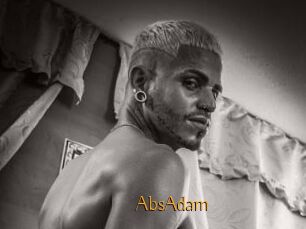 AbsAdam