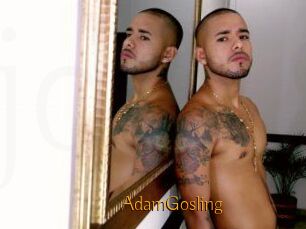 AdamGosling