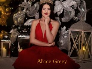 Alicce_Greey