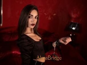 AlmaBridge