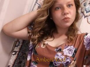 AmbersNeed