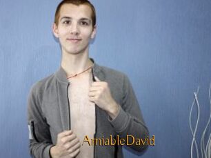 AmiableDavid