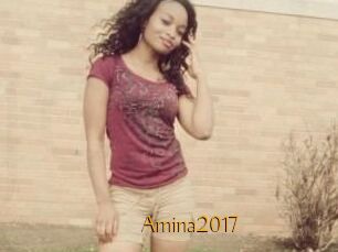 Amina2017