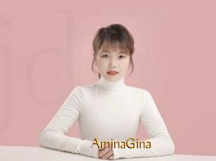 AminaGina