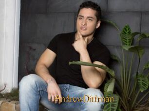 AndrewDittman