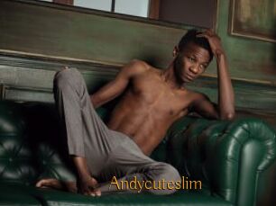 Andycuteslim