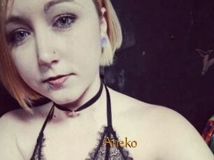 Aneko