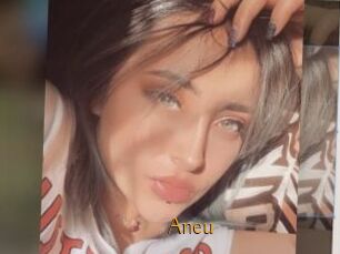 Aneu