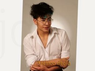 Antinoo_ditella