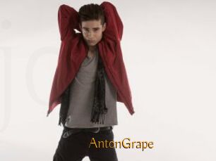 AntonGrape