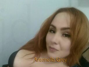 Antonella_Grey