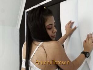 Antonellarosen