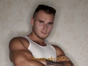 Antoni_adrenal1n