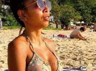 Asian_Fox