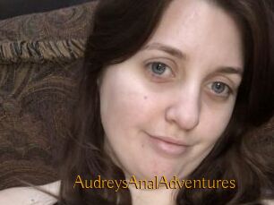 AudreysAnalAdventures