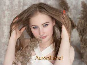 AuroraTurnel