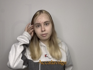 Accadavidge