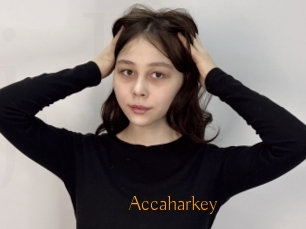 Accaharkey