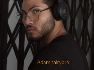 Adamhairybro