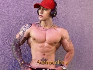 Adamscollims