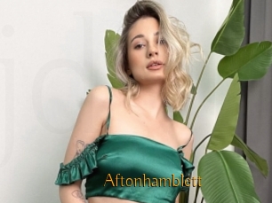 Aftonhamblett