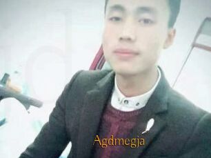 Agdmegja
