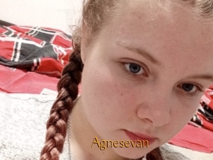 Agnesevan