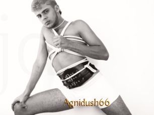 Agnidush66