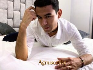 Agnuscaelie