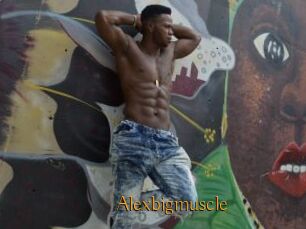 Alexbigmuscle