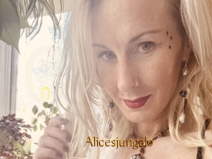 Alicesjungalo
