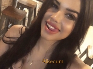 Alisecum