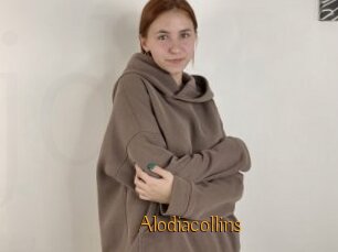Alodiacollins