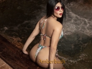 Amberbush