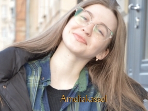 Ameliakassel