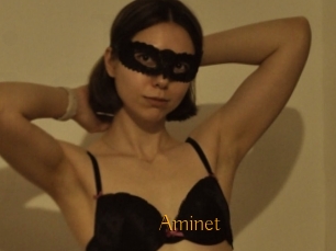 Aminet