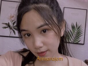 Amisanajem