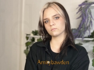 Amitybawden