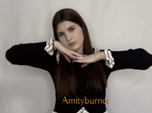 Amityburner