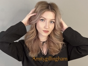 Amitygillingham