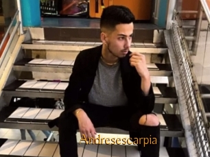 Andresescarpia