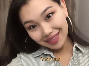 Andy_pnd