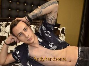Andyhandsome