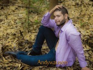 Andywatsson