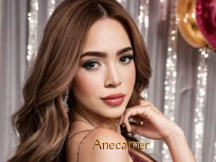 Anecartier