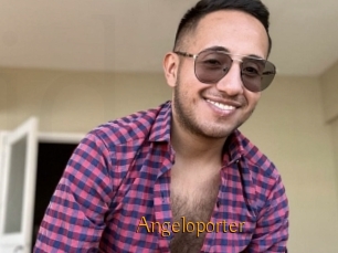 Angeloporter